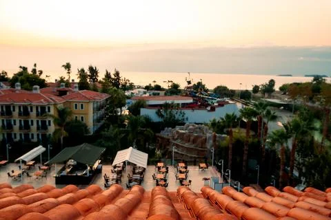 People relax on  rooftop terrace while watching sunset over sea. Palm trees s Stock Photos