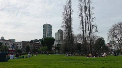 People Relaxing on the Grass at Washington Square Park Stock Footage 329828009