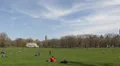 People Relaxing NYC Central Park, Cherry Trees, Great Lawn, Spring New York City HD Footage