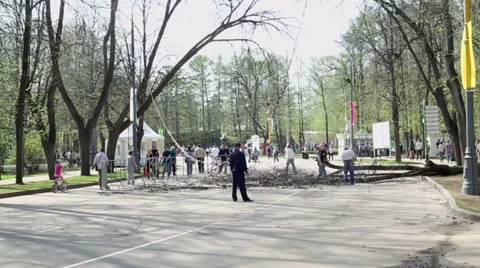 People remove old trees in park where many people walk Stock Footage 32152897