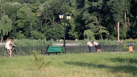 People rest in the park Video stock 77481680
