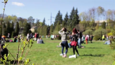People resting in the park on the grass Stock Footage 75887743