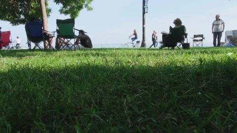 People resting in the park summer crowd green grass trees sky bycyle cycling Stock Footage 156298473
