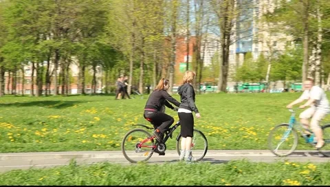 People resting park. Walking path perspective. Tracking shot two fitness girls 動画素材 5380160
