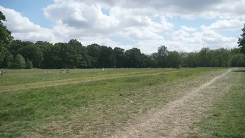 People resting in a park while following the social-distancing rules. Stock Footage 131241081