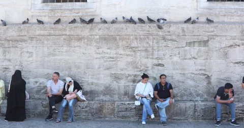 People resting under a stone wall while pigeons line the ledge above Stock Footage 321047756