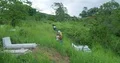 People return from graveyard in green Flores jungle mountains highland Indonesia 4k or 4k+ Resolution