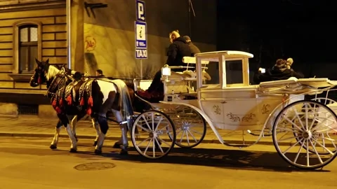 People ride a carriage Stock Footage 145165491