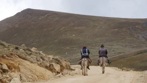 People ride mule, Peru Video stock 106493204