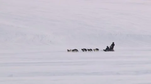 People ride sleds with siberian husky dogs on the snow in Longyearbyen, Norway. Stock Footage