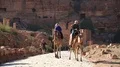 People rides on a camel in Petra, ancient city in Jordan HD Footage