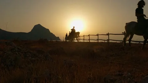 People riding horses seaside in sicily with golden sun in background Stock Footage 279891253