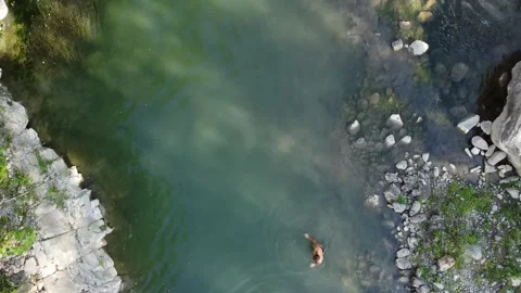 People in the river Stock Footage 217396001