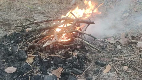People roast marshmallows by a small fire, enjoying the holiday. Stock Footage 165588310