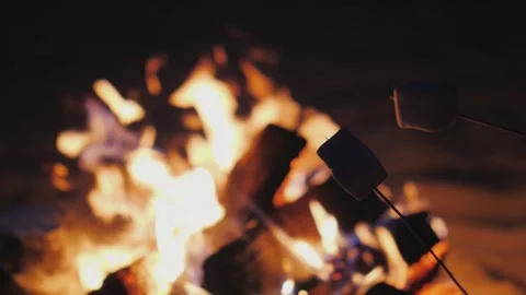 People roasting marshmallows on sticks over a crackling campfire at night, .. Stock Footage 334713919