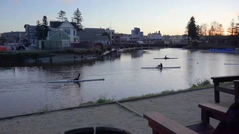 People Rowing Stock Footage 236970473