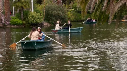 People Rowing Small Boats Across Calm Park Lake Surrounded by Greenery Stock Footage 344014666