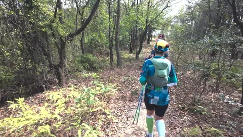 People running along a trail path in the forest Stock Footage 303943385
