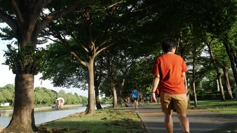 People Running and Walking Exercise in Park Stock Footage 315933505