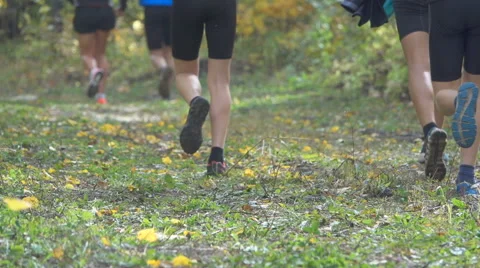 People running cross country in autumn forest. Jogging motivation in green pa Stock Footage