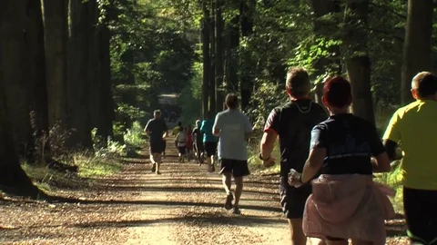 People running in a forest during  a competition Stock Footage 70513587