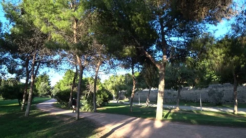 People running in the park 2 Stock Footage 79701726
