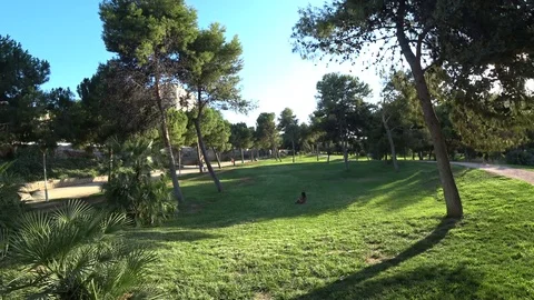People running in the park Stock Footage 79701865