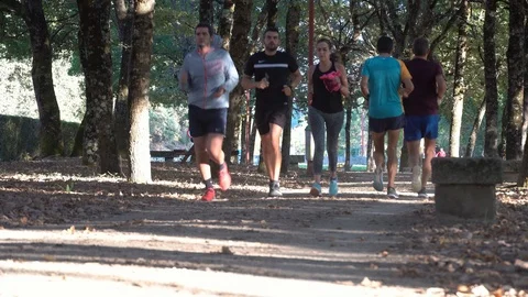 People running in park Stock Footage 117922172