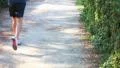 People running on a path at park HD Footage