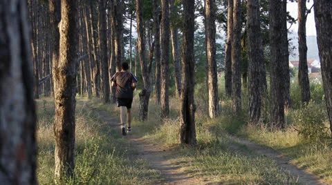 People running in the woods Vídeo Stock 26707090