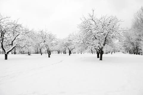 People rushing to work Stock Photos