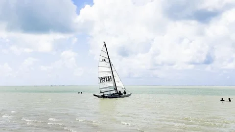 People Sailing Catamaran Close to Shore on Calm Tropical Coastal Waters Stock Footage 345315876