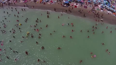 People in the Sea Stock Footage 65369063