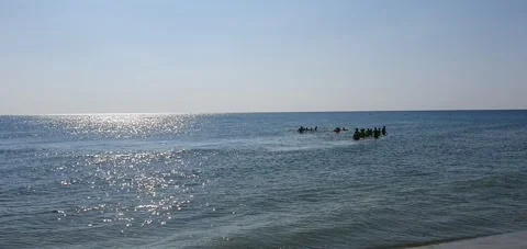 People in the sea Stock Footage 248536513