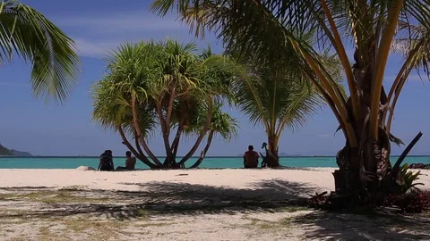 People on the shade under palm trees on spectacular White Beach and sailboats on Stock-Footage 83215619