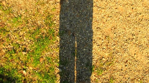 People shadow Stock Footage 35937489