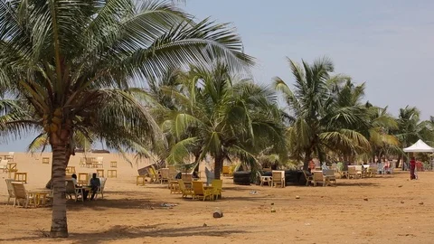 People in shadow of palms Stock Footage 122589193