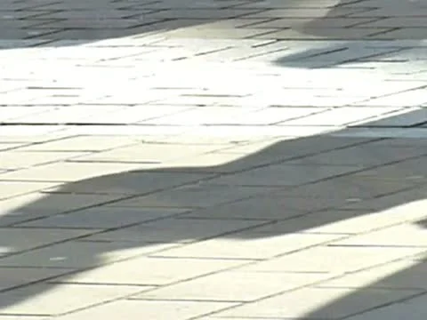 People shadows Video stock 10923477