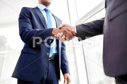 People Shaking Hands