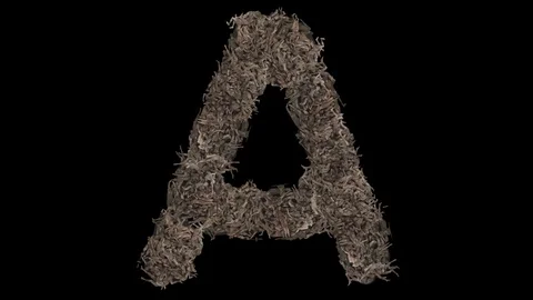 People in the shape of the letter. Stock Footage 109509197