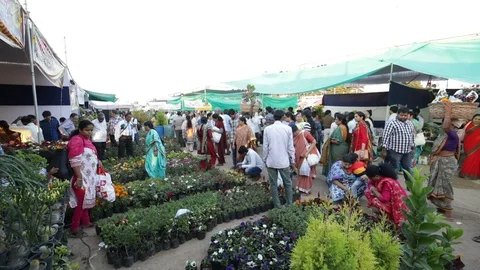 People shopping plants Stock Footage 85655794
