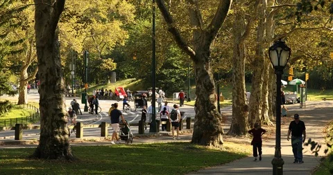 People on the sidewalk path in the middle Central Park New York Stock Footage 122974784