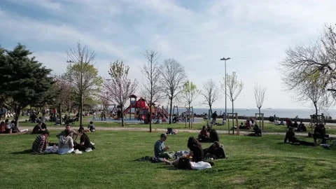 People sit and lying down on grass in Moda Public Park before quarantine time Stock Footage 153337708