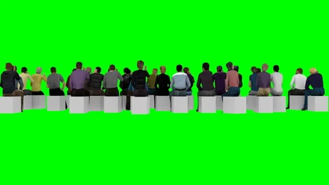 People sit on chairs with their backs to the camera on a green background for TV Stock Footage 141214306