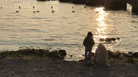 People sitting on the beach Video stock 144338260