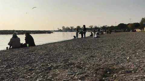 People sitting on the beach Stock Footage 144341028