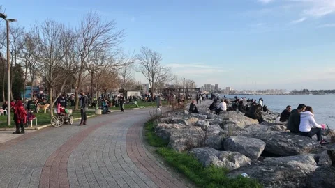 People sitting on the beach Stock Footage 146047157