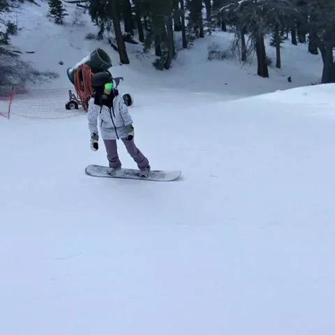 People Skiing  9 Stock Footage 236267562