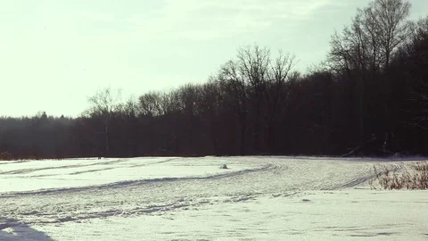 People skiing in the forest Stock Footage 81889598