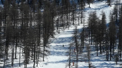People skiing in the forest Stock-Footage 104235323